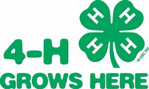 4-H Grows Here image