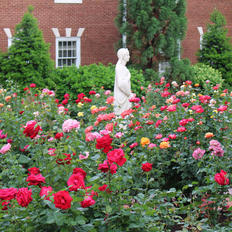 UT Master garden 